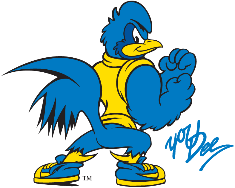 Delaware Blue Hens 1999-Pres Mascot Logo 10 iron on paper